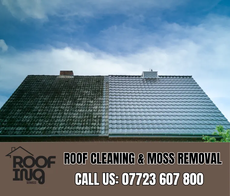 Roof cleaning and moss removal in Penzance